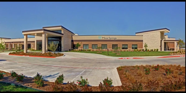 Mesa Springs